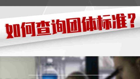 如何查询团体标准？